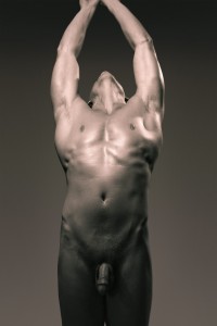 Nude_male_torso_2